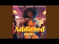 Addicted (Remix)