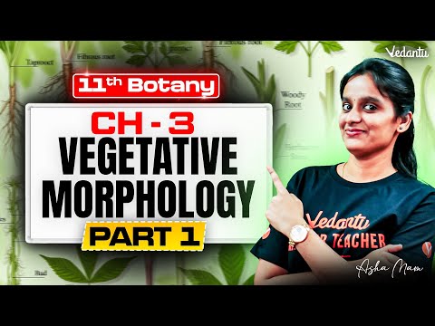 11th Botany | Vegetative Morphology Part 1 | State Board | Asha Ma'am
