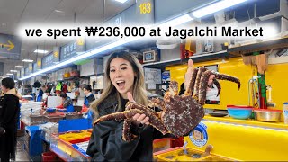 Eating at Jagalchi Fish Market, the LARGEST seafood market in Busan, South Korea!