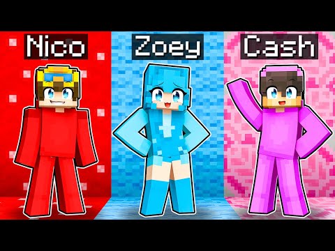 We SWAPPED COLORS In Minecraft!