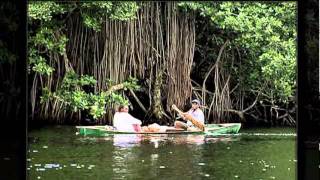 African Head Charge - Deer spirit song