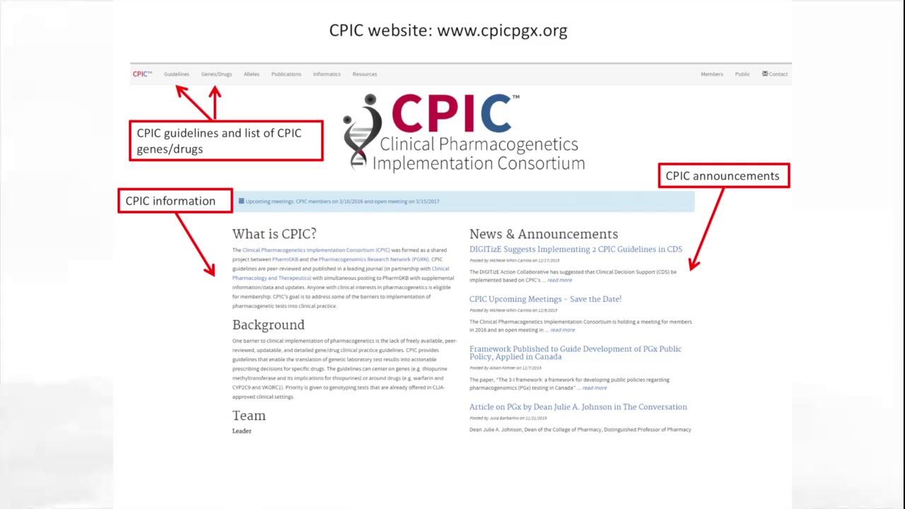 The Clinical Pharmacogenetics Implementation Consortium (CPIC) Overview