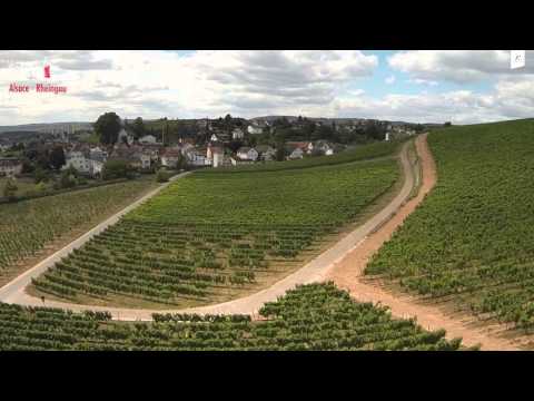 Veckans Klonk 2 - Alsace vs Rheingau