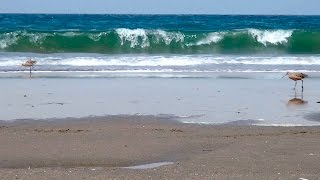 White Noise Ocean Waves on the Beach Nature Sleep Relaxation Video