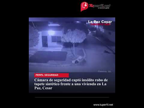 Cámara de seguridad captó insólito robo de tapete sintético frente a una vivienda en La Paz, Cesar