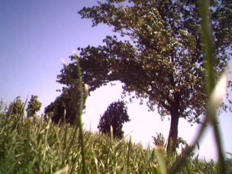 Nazianz - Stiu cine sunt