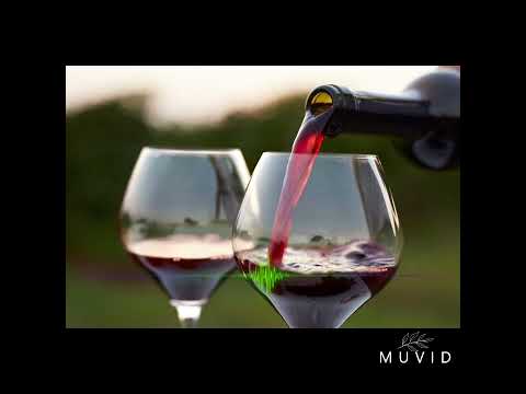 Vavine Maloku - Home boy Ft Misterio Vinz (Ni-Van 678🇻🇺)