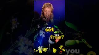 Wings Of Love. Chris Norman.  #80s #chrisnorman #retro #nostalgia #shorts