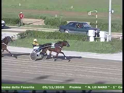 Ricordo guide "storiche" e 3° Memorial "Gaia Cucinotta"