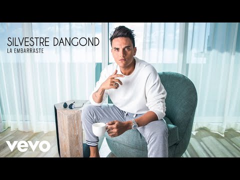Silvestre Dangond - La Embarraste (Audio)