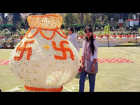 Flower show 🌺🌹 Prayagraj Chandrashekhar azad 🌺#whatsappstatus #flowersgarden #beautiful #subscribe