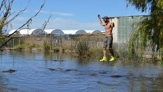 Slacklining Over Alligator Pool