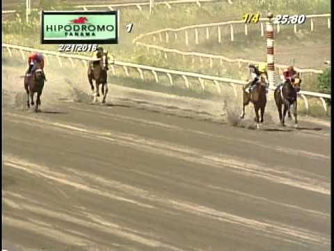 1RA CARRERA DOMINGO 21 DE FEBRERO 2016