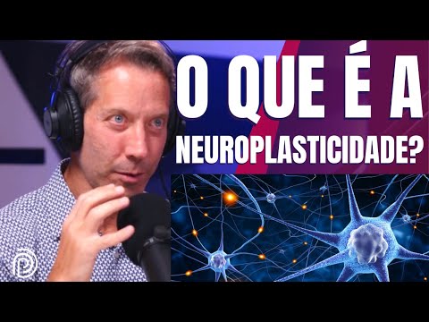 MITOS E VERDADES DA NEUROCIÊNCIA - Leo Fraiman