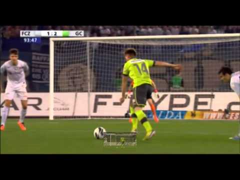 Amazing Goal by Izet Hajrovic!