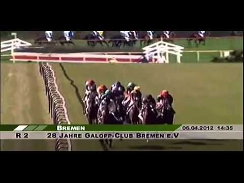 28 Jahre Galopp-Club Bremen e.V - Pferderennbahn Bremen - 2. Rennen