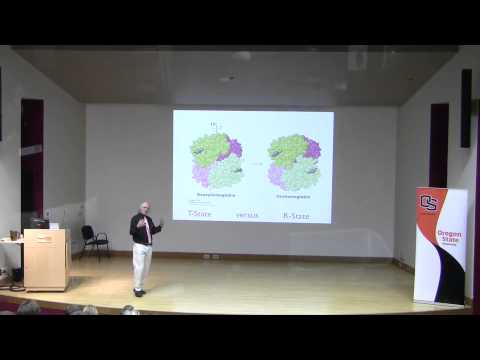 Kevin Ahern's Most Popular Lecture - Hemoglobin