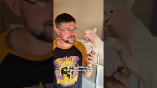 Major Mitchell's Cockatoo Trusts Me Now!