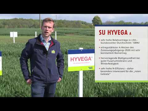 Saaten-Union: Hybridweizen SU HYVEGA, Vertriebsberater Jan Burgdorff, Standort Leopoldshöhe
