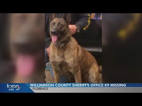 Wilco Case Search