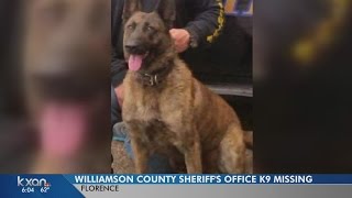 A search for missing Wilco K-9