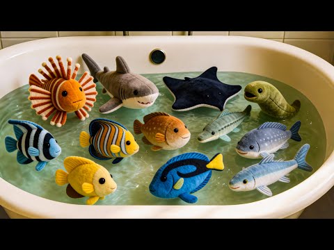 100 Sea Animals Collection | Learning Aquatic Animals Names and Videos