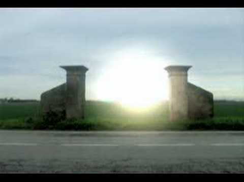 Amorphous Androgynous - The world is full of plankton