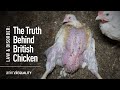 The Truth Behind Chicken Farming In The UK