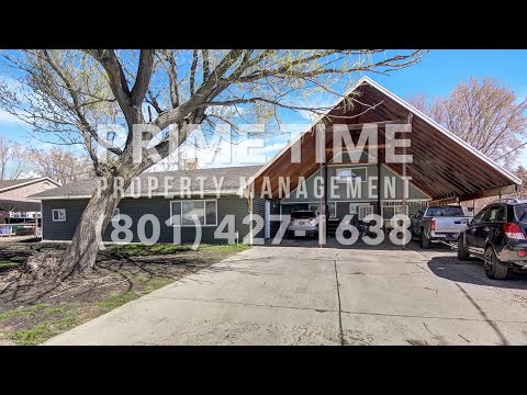 AJ Payne 4 Plex - Video 2 of 2