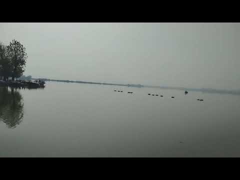 Dal lake outside Nishat Garden view 1 #srinagar 141125