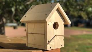 Kids Carpentry: Build a simple Birdhouse