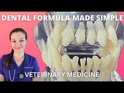 Demystifying the Dental Formula