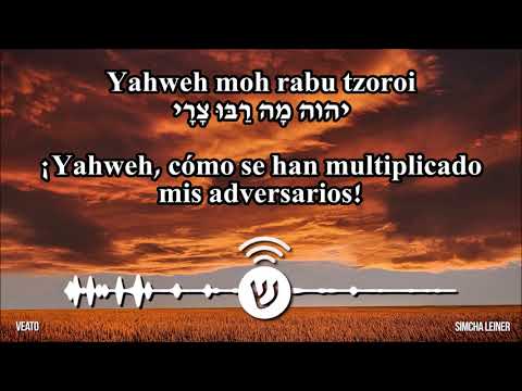 VeAtoh / וְאַתָּה  / Y Tú - Shmja Leiner