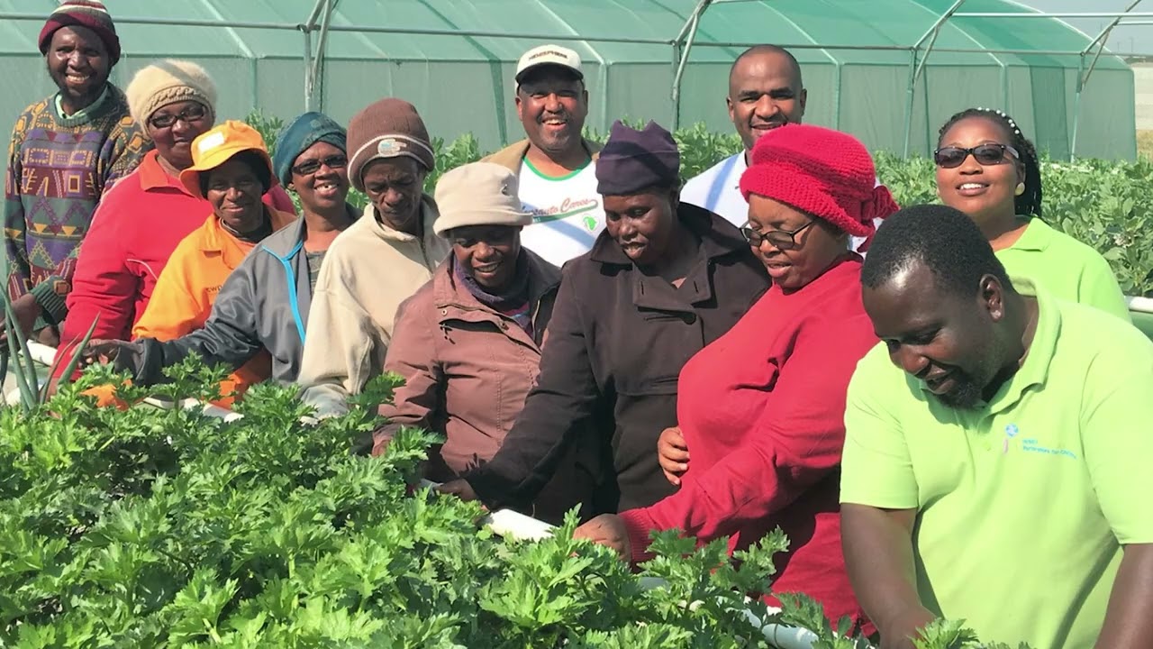 UN CTCN and UNDP projects around the world, financed by the Adaptation Fund, 2025