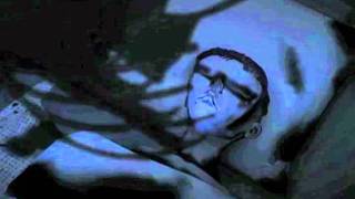 The Octopus and the Angel