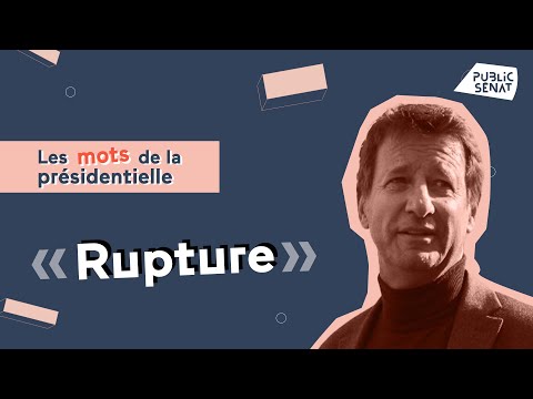 Yannick Jadot and his “breakthrough” measures (The words of the presidential election)