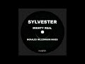 Sylvester - You Make Me Feel (Mighty Real) (Morales Millennium Mix 1) HQ