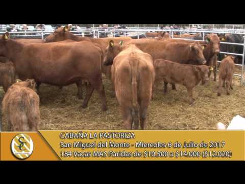 05-07-17 Venta de Vacas MAS Con Cría - Cabaña La Pastoriza - San Miguel Del Monte
