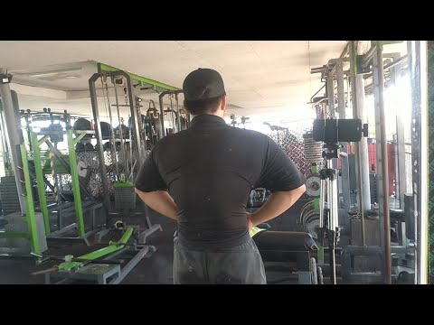 3yr Bulk [Summer Arc]- Day 118 | Back, Forearms & Cardio