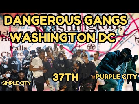 The Most Dangerous Gangs in Washington DC, (DMV Area)