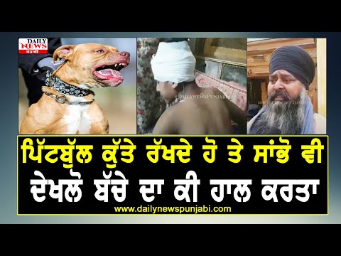 pitbull attack video tarntaran |pitbull dog attack on child| tarntaran news pitbull dog attack child