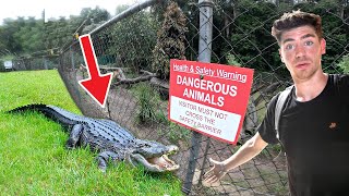 Entering a DANGEROUS Australian ZOO!! - (Private Tour) 1 Day ALONE!!