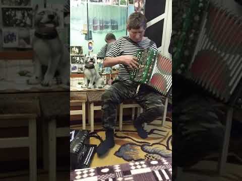 Todireşti 11 февраля 2021 г.