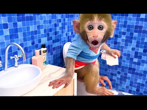 Baby monkey Bon Bon bath in the bathtub and playing with the puppy So cute | Bon Bon Indonesian