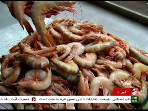 Iran Ahvaz city, Fish market بازار ماهي 