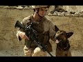 Max War Dog 2015 BEST SCENE HD
