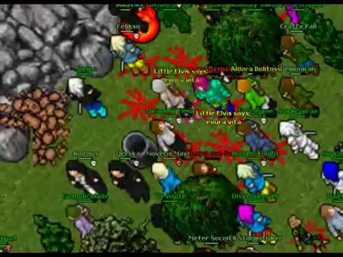 Aldora War - Eternal March vs Anima