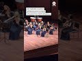 Curious cat takes center stage during Turkey orchestra - Video