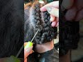 Day in my life natural hair cultivation student #braiding #texturedhair #lucyseitz #beautyschool