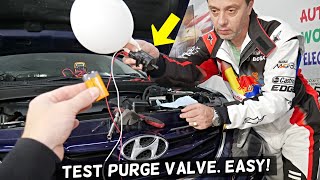HOW TO TEST PURGE CONTROL VALVE ON HYUNDAI SANTA FE SONATA ELANTRA TUCSON VELOSTER ACCENT